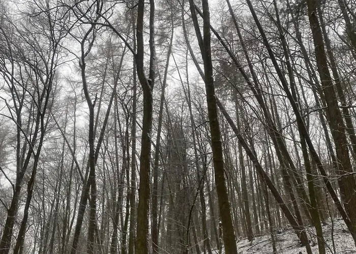 Lägenhet Altstadt Quartier 2 Bad Freienwalde